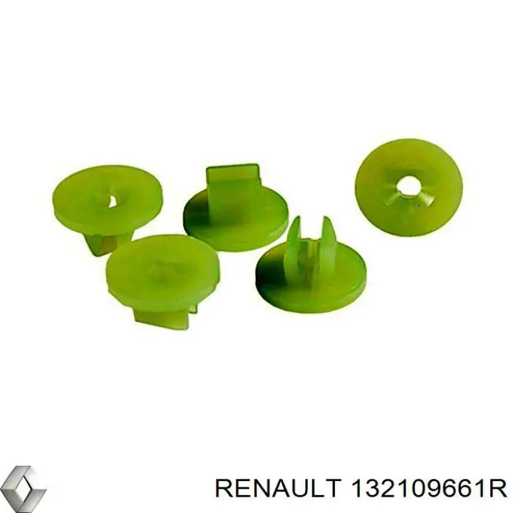  Renault (RVI) 132109661R