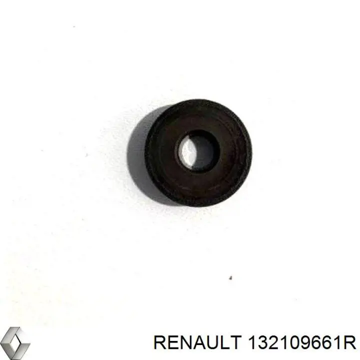  132109661R Renault (RVI)