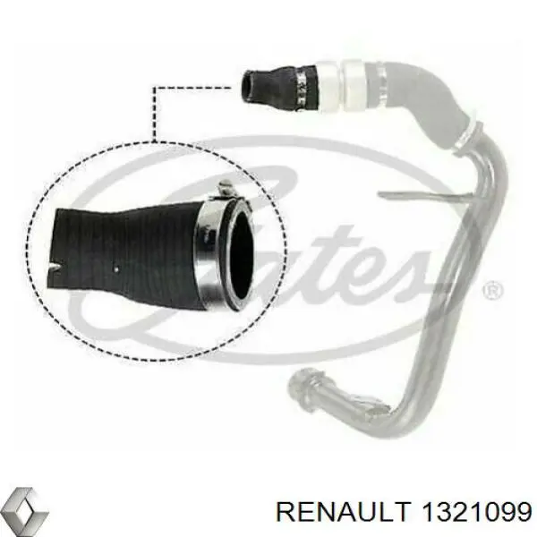 1321099 Renault (RVI) 
