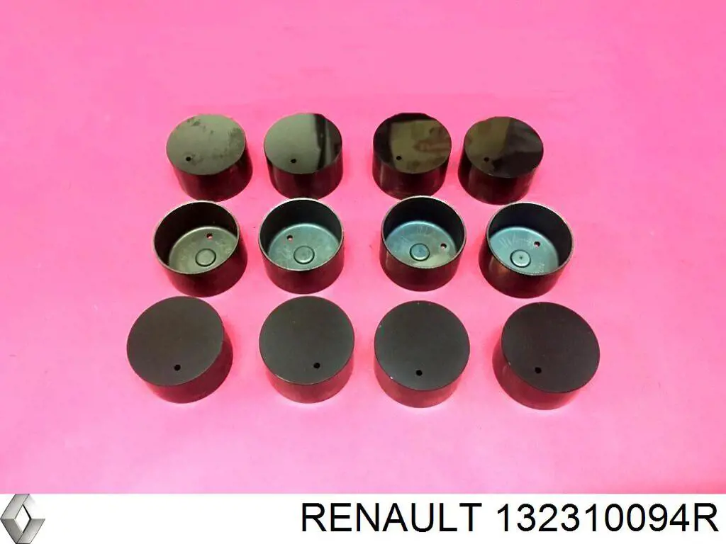  132310094R Renault (RVI)