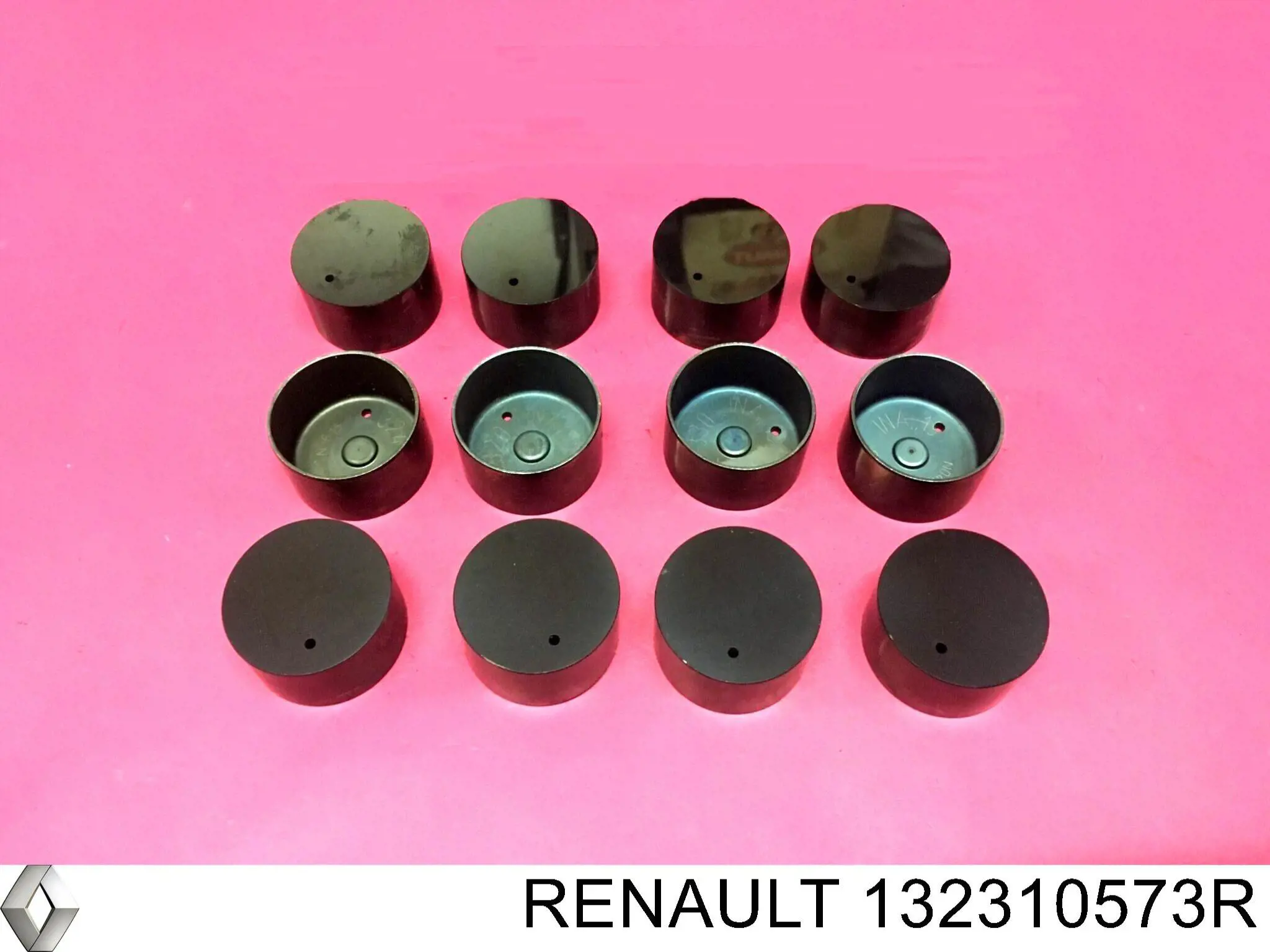  132310573R Renault (RVI)