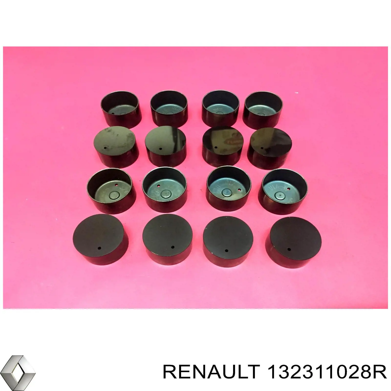 132311028R Renault (RVI) Гидрокомпенсатор