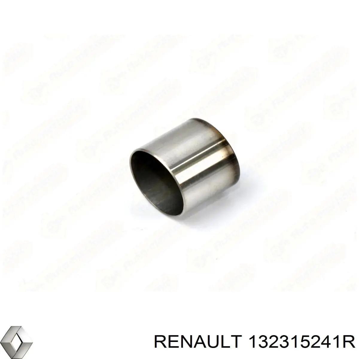 132315241R Renault (RVI) 