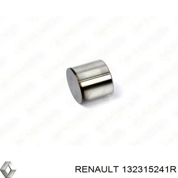 Толкатель клапана гидравлический Renault (RVI) 132315241R цена, от 39.55 USD