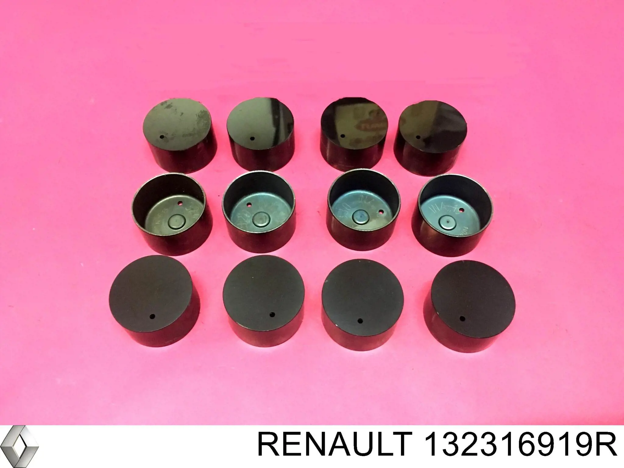 132316919R Renault (RVI) Гидрокомпенсатор