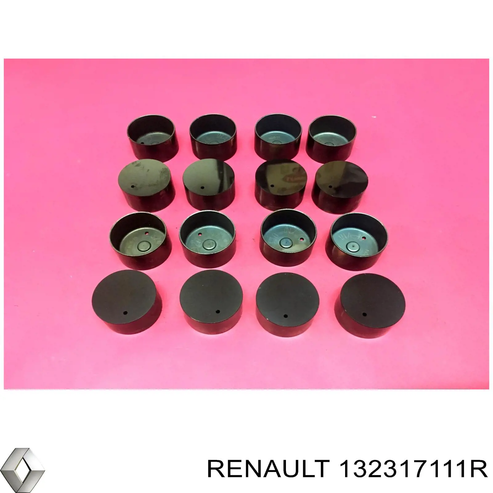 132317111R Renault (RVI) Гидрокомпенсатор