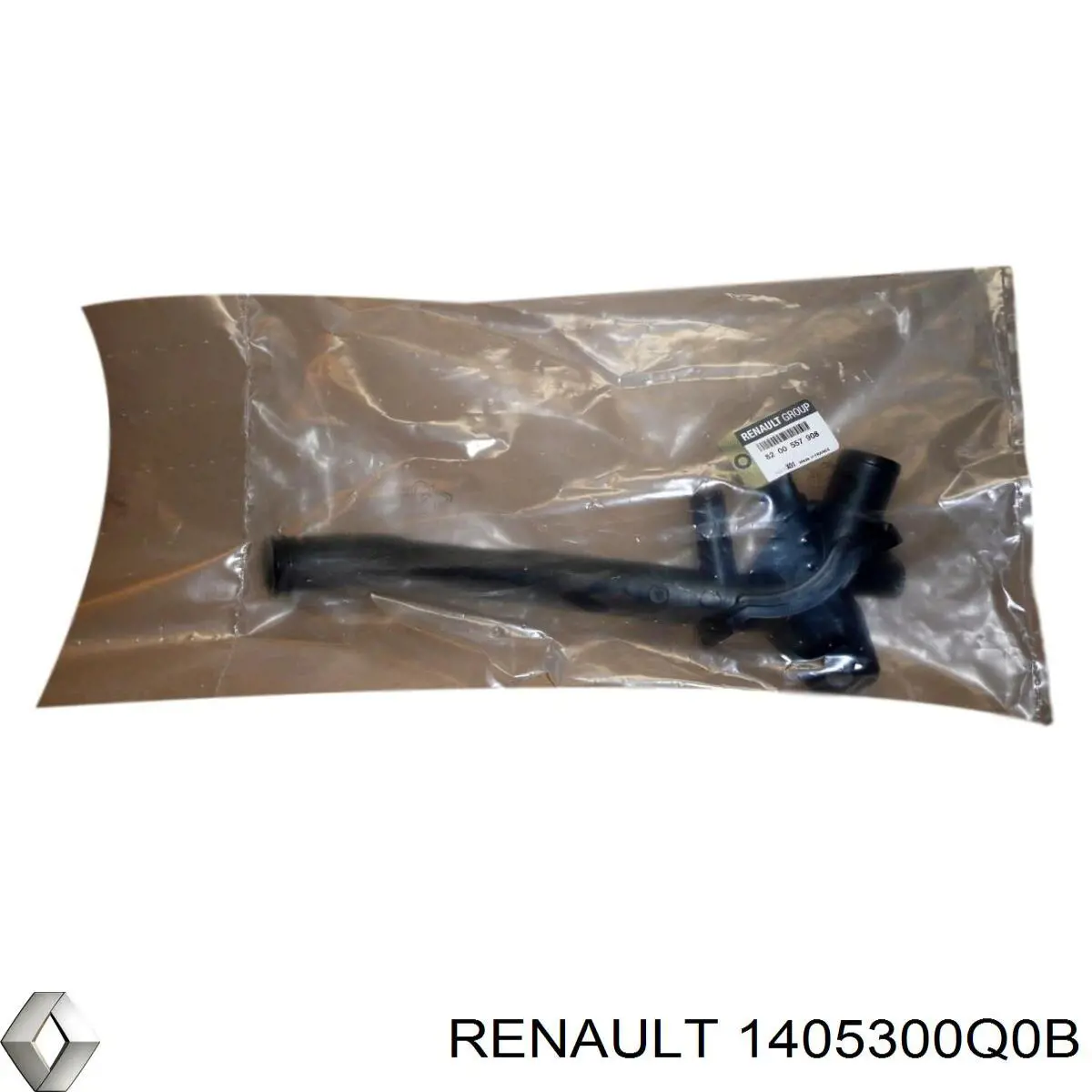  1405300Q0B Renault (RVI)