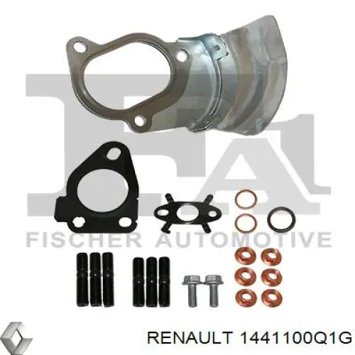 1441100Q1G Renault (RVI) turbina