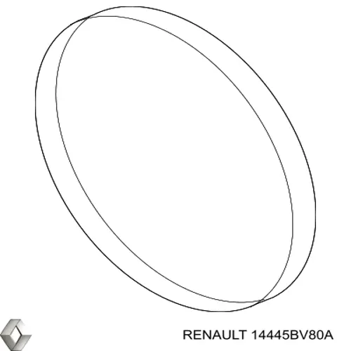 14445BV80A Renault (RVI) 