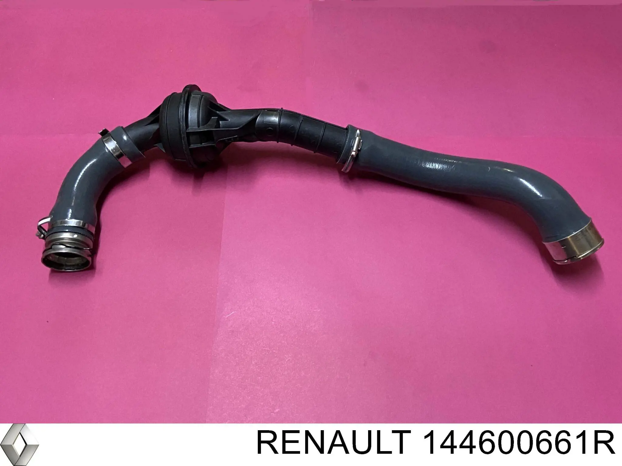 144600661R Renault (RVI) mangueira (cano derivado direita de intercooler)