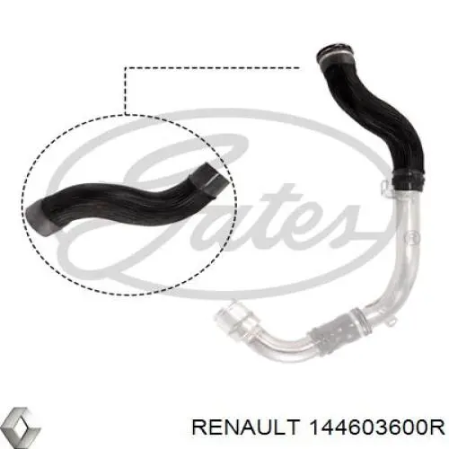 Tubo flexible de aire de sobrealimentación, de turbina 144603600R Renault (RVI)