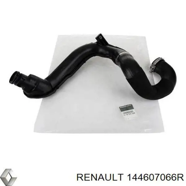144607066R Renault (RVI)