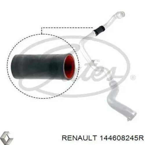 144608245R Renault (RVI) mangueira (cano derivado superior de intercooler)