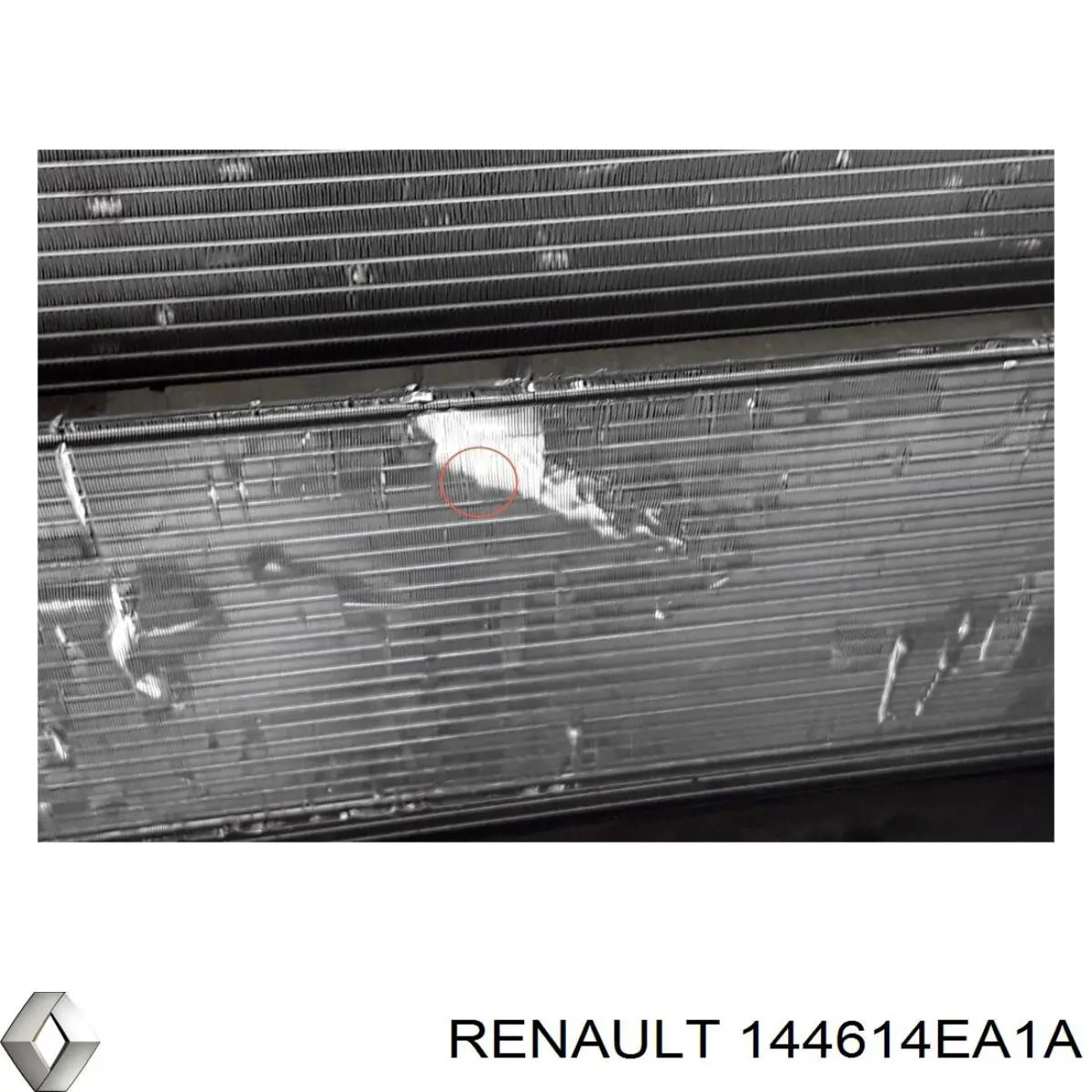Radiador de intercooler 144614EA1A Renault (RVI)