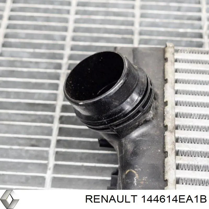 Система охлаждения наддувочного воздуха Renault (RVI) 144614EA1B цена, от 126.69 USD
