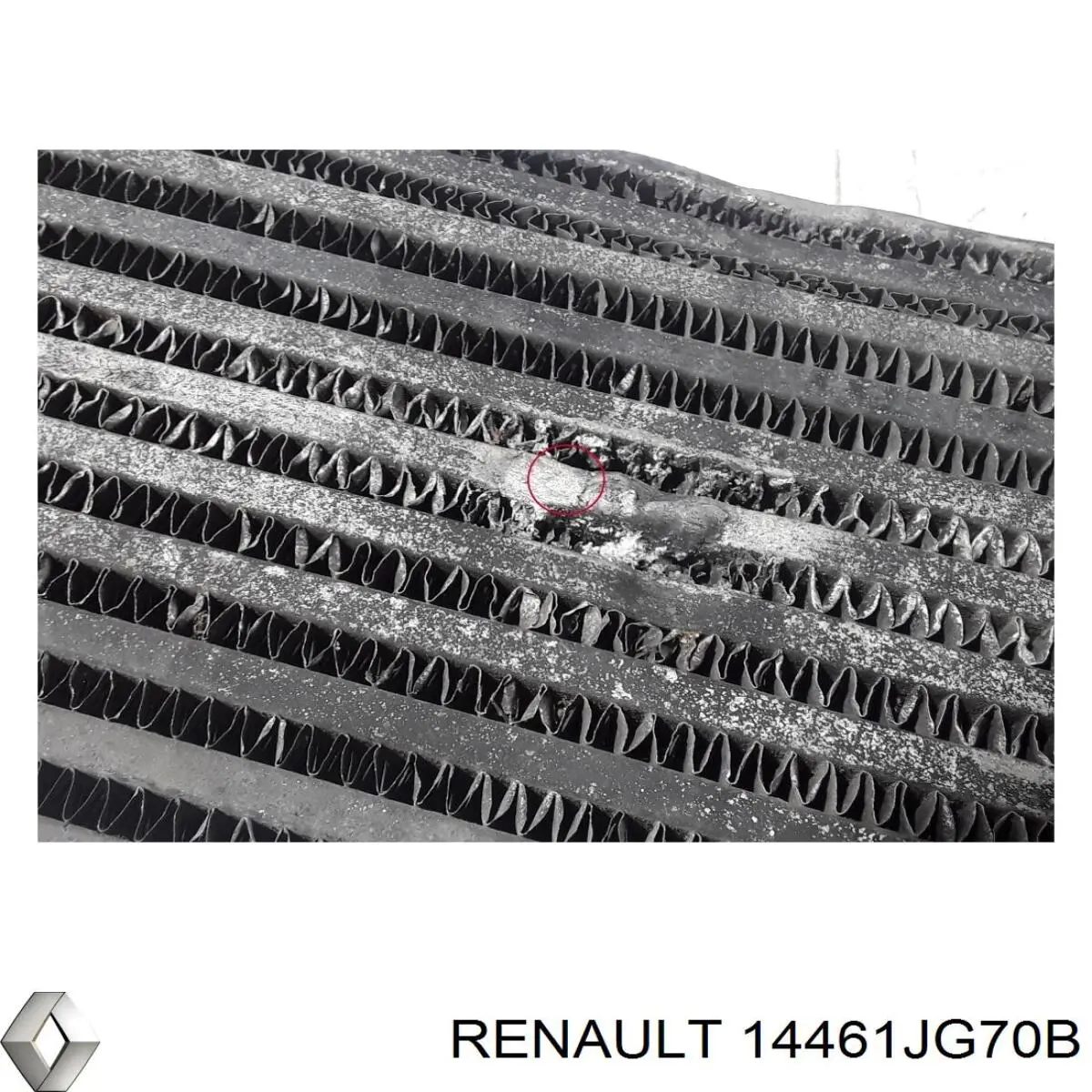 Интеркулер 14461JG70B Renault (RVI)