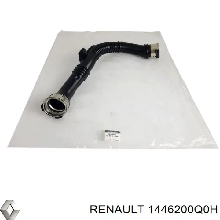 Правый шланг интеркуллера 1446200Q0H Renault (RVI)