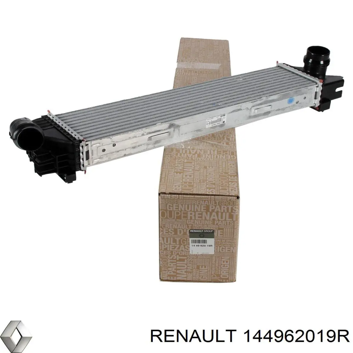 144962019R Renault (RVI)