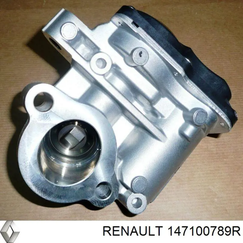 147100789R Renault (RVI)