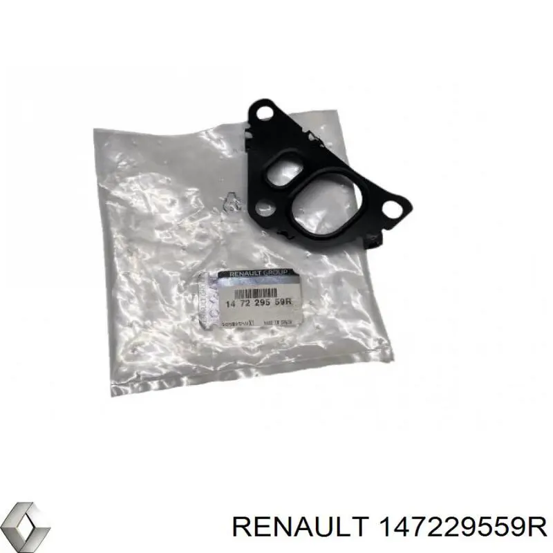 147229559R Renault (RVI) vedante de válvula egr de recirculação
