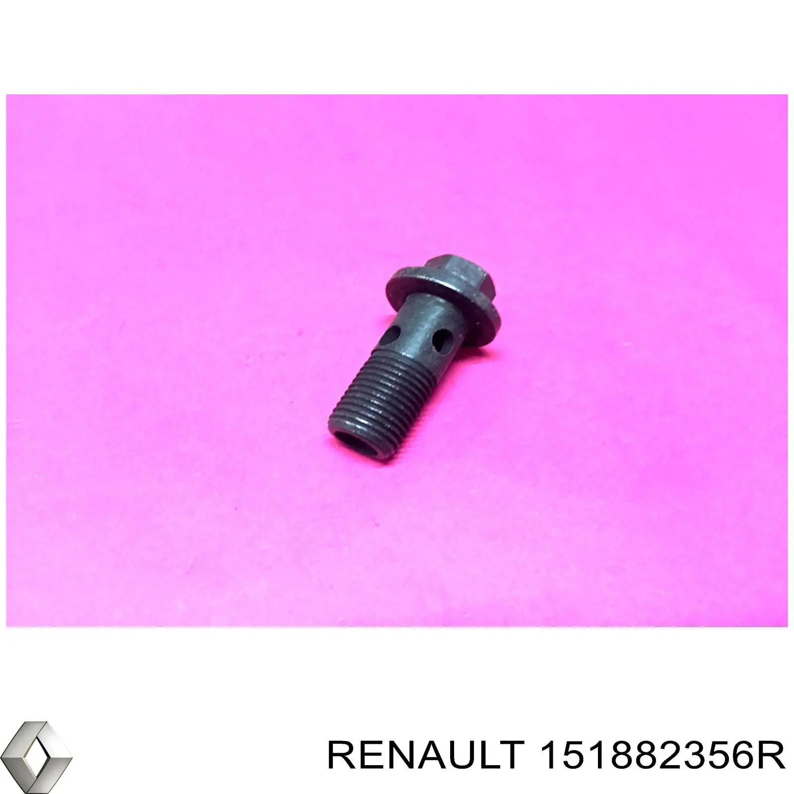 Болт трубки турбины подачи масла Renault (RVI) 151882356R цена, от 5.73 USD