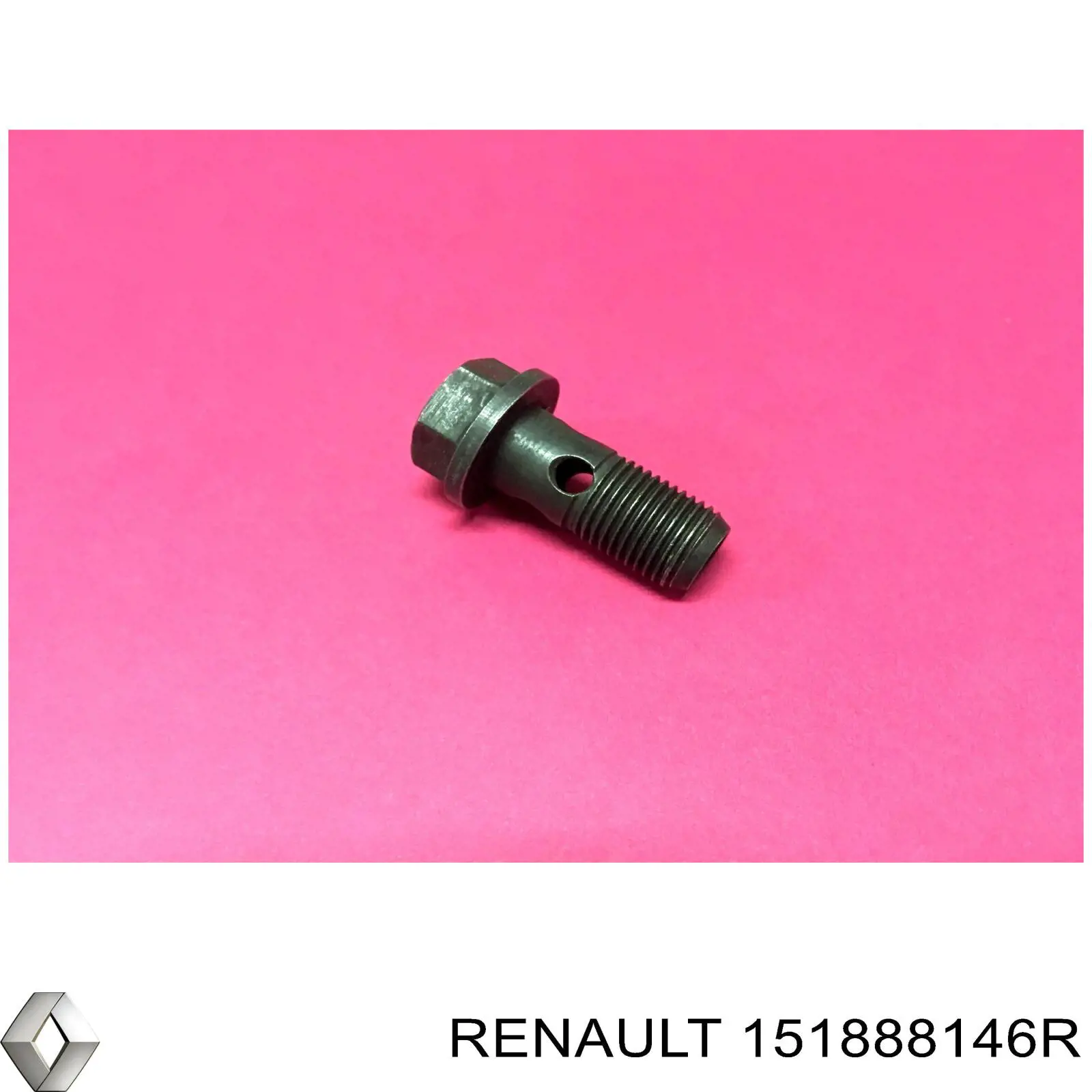 Болт трубки турбины подачи масла Renault (RVI) 151888146R