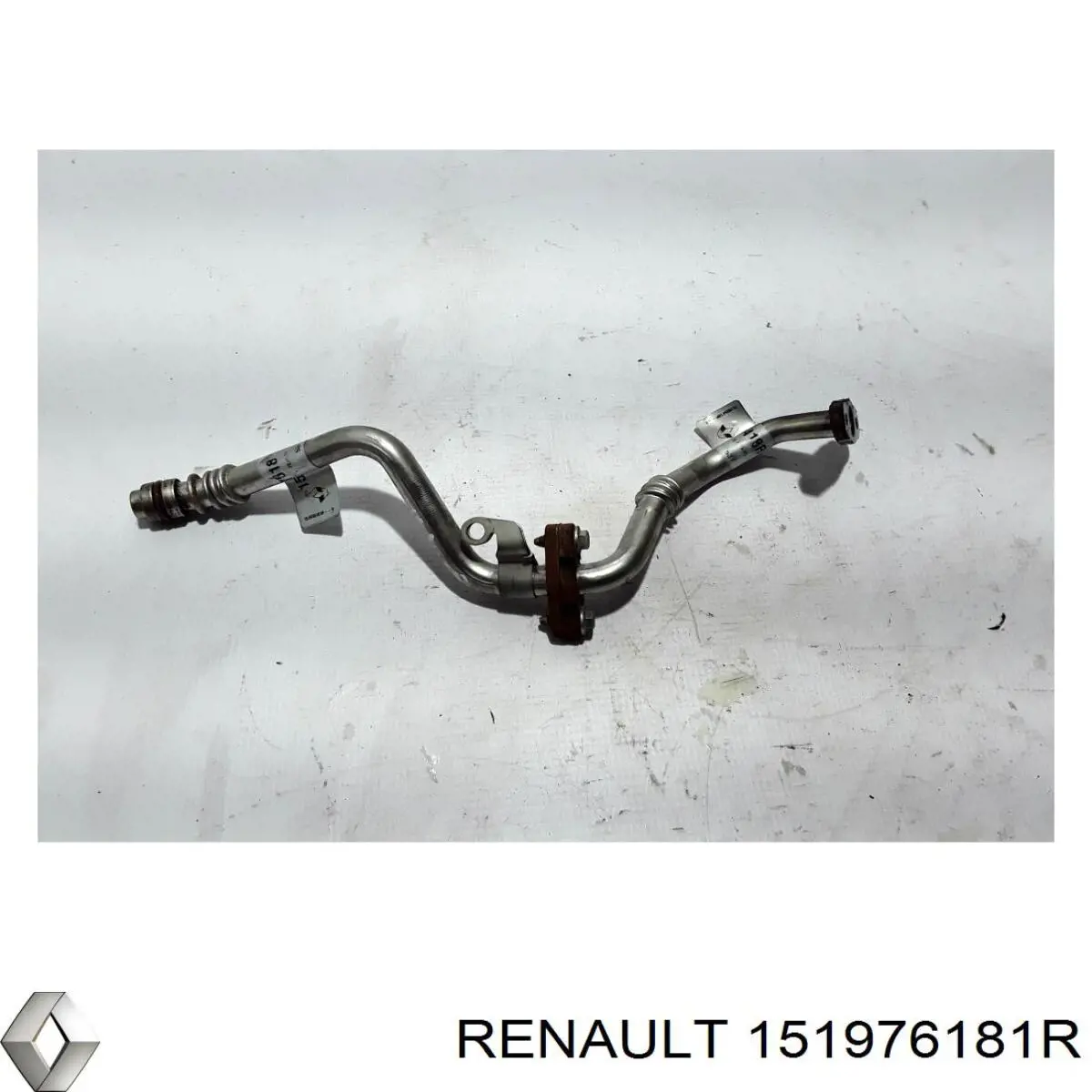 Купить 151976181R Renault (RVI) 