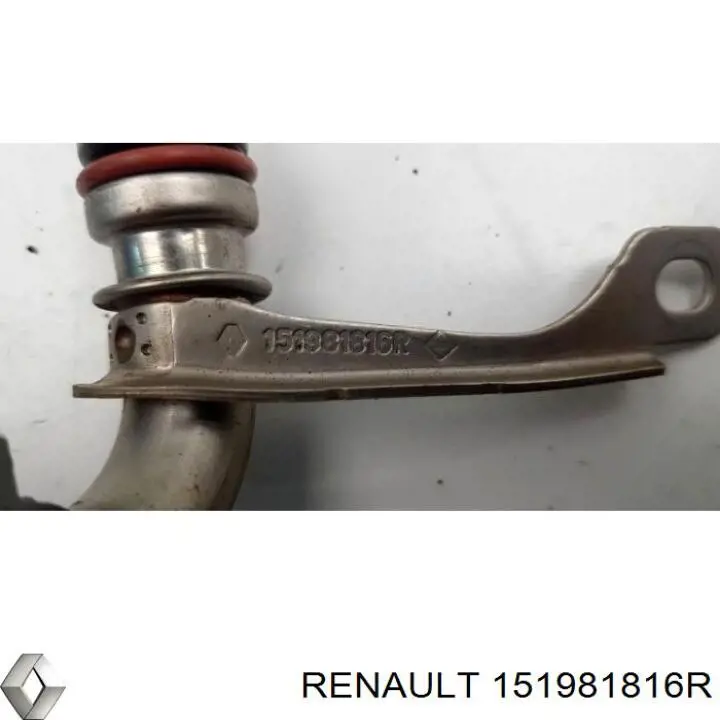 151981816R Renault (RVI) 