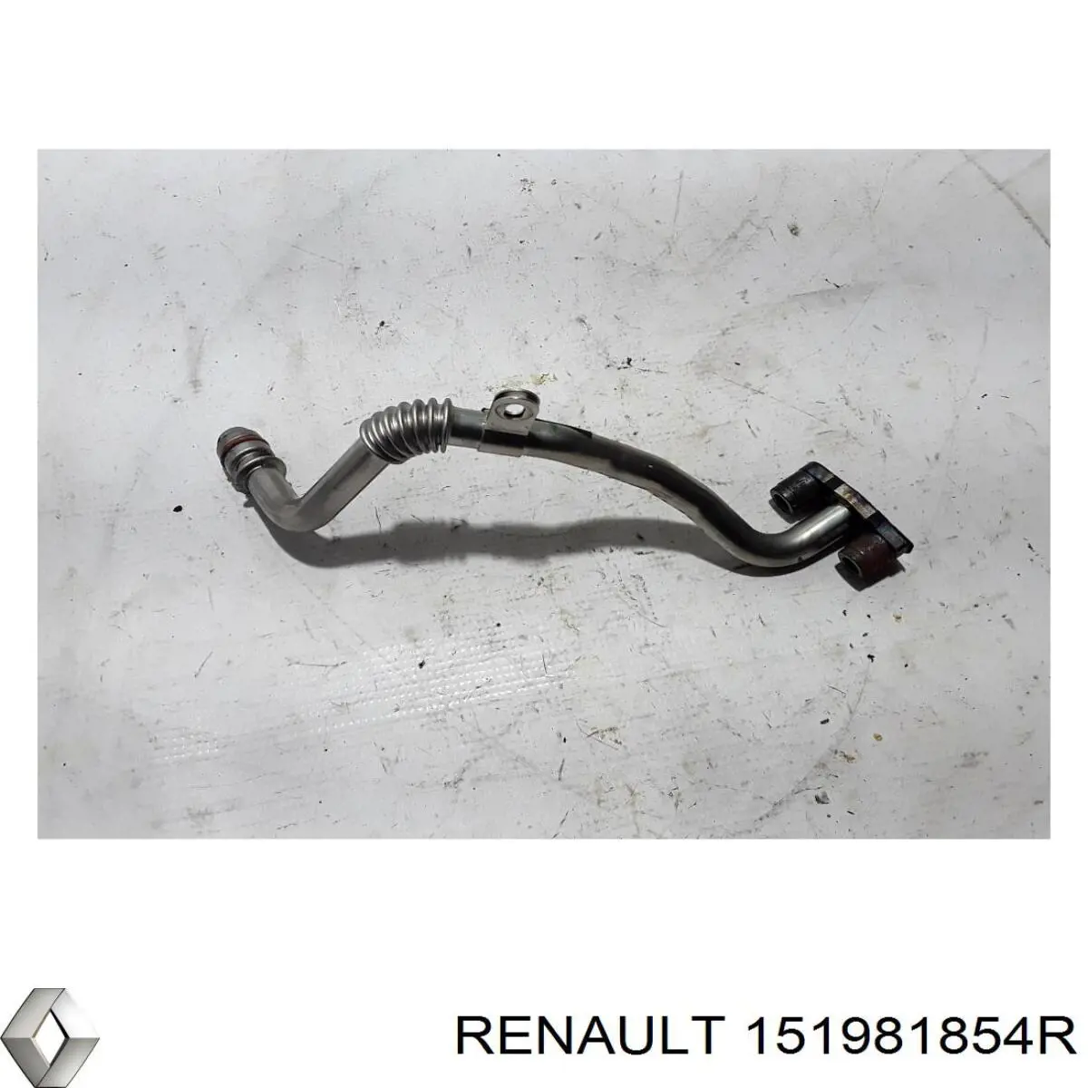 151981854R Renault (RVI) Трубка (шланг) отвода масла от турбины