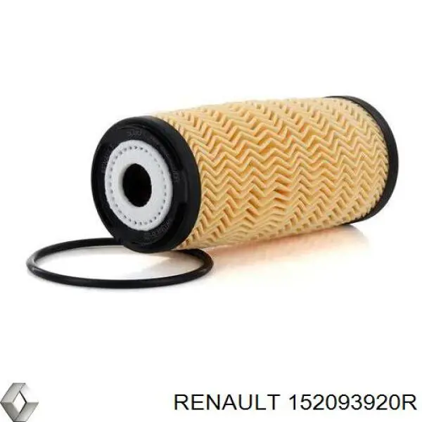 Масляный фильтр 152093920R Renault (RVI)