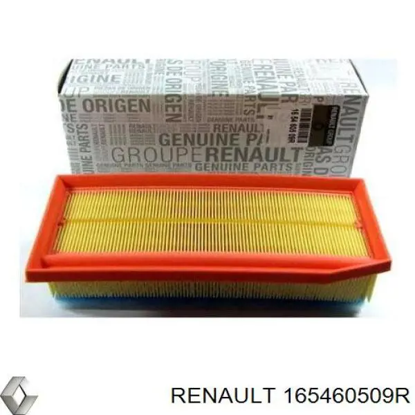 165460509R Renault (RVI)