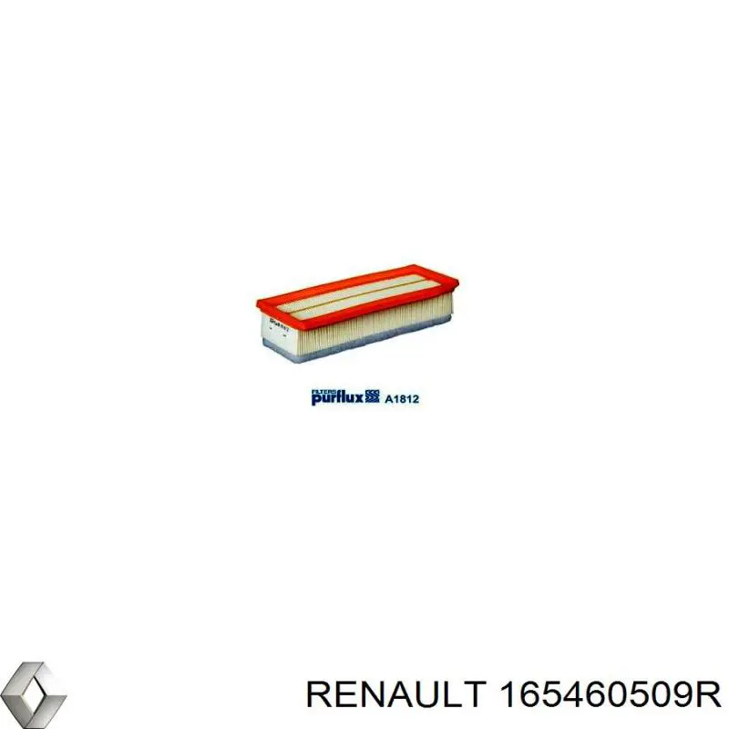 Фильтр воздушный Renault (RVI) 165460509R