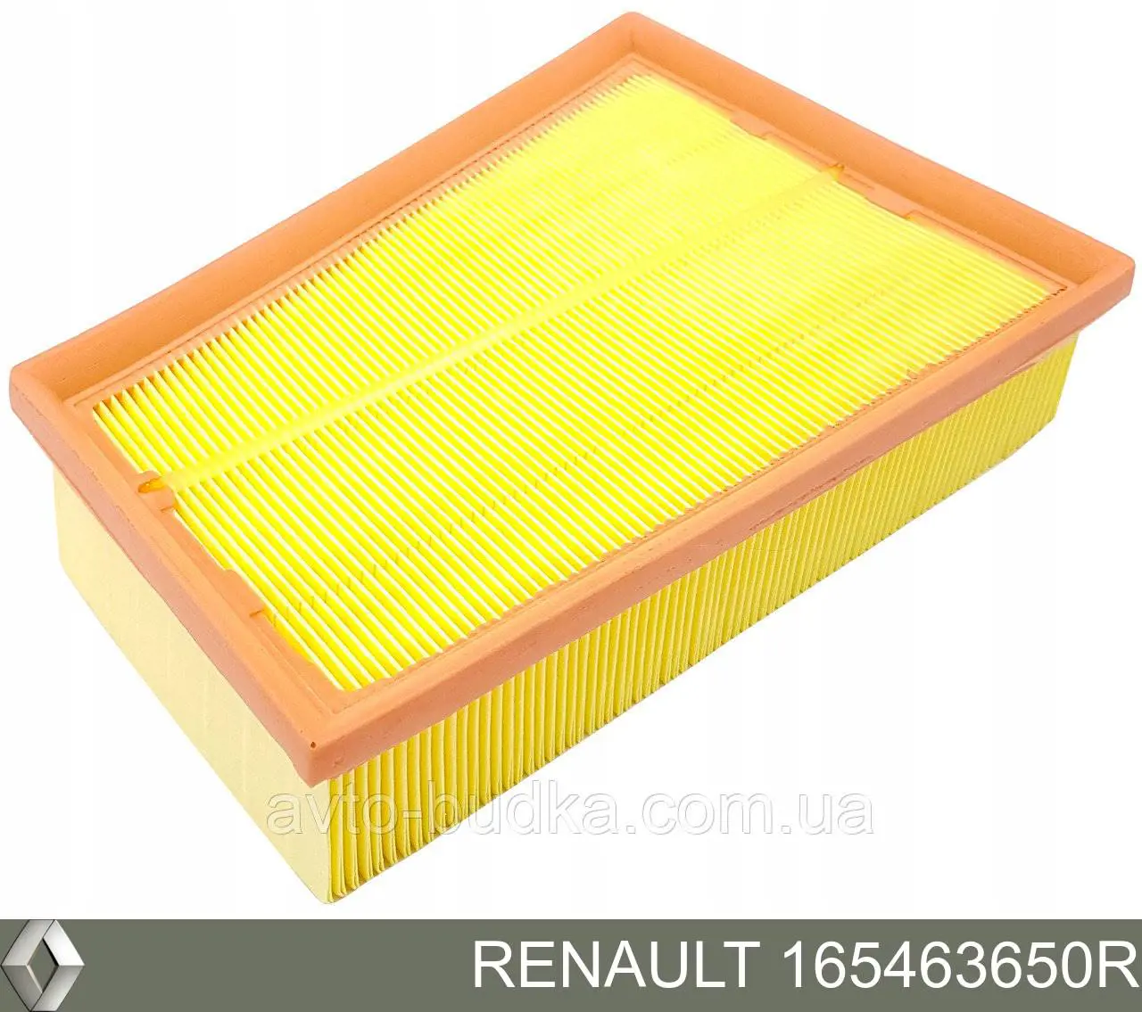 Воздушный фильтр 165463650R Renault (RVI)