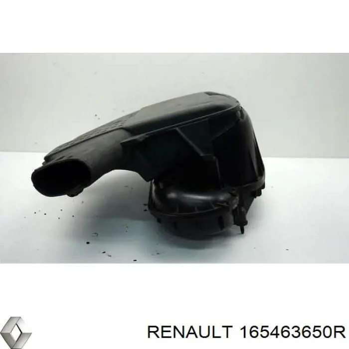 165463650R Renault (RVI) Воздушный фильтр двигателя