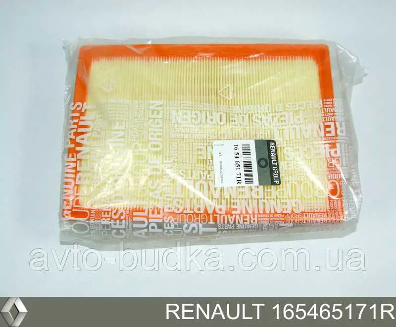 165465171R Renault (RVI) filtro de ar