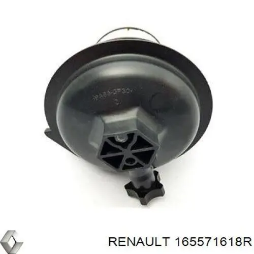 Фильтр тонкой очистки топлива Renault (RVI) 165571618R цена, от 26.14 USD