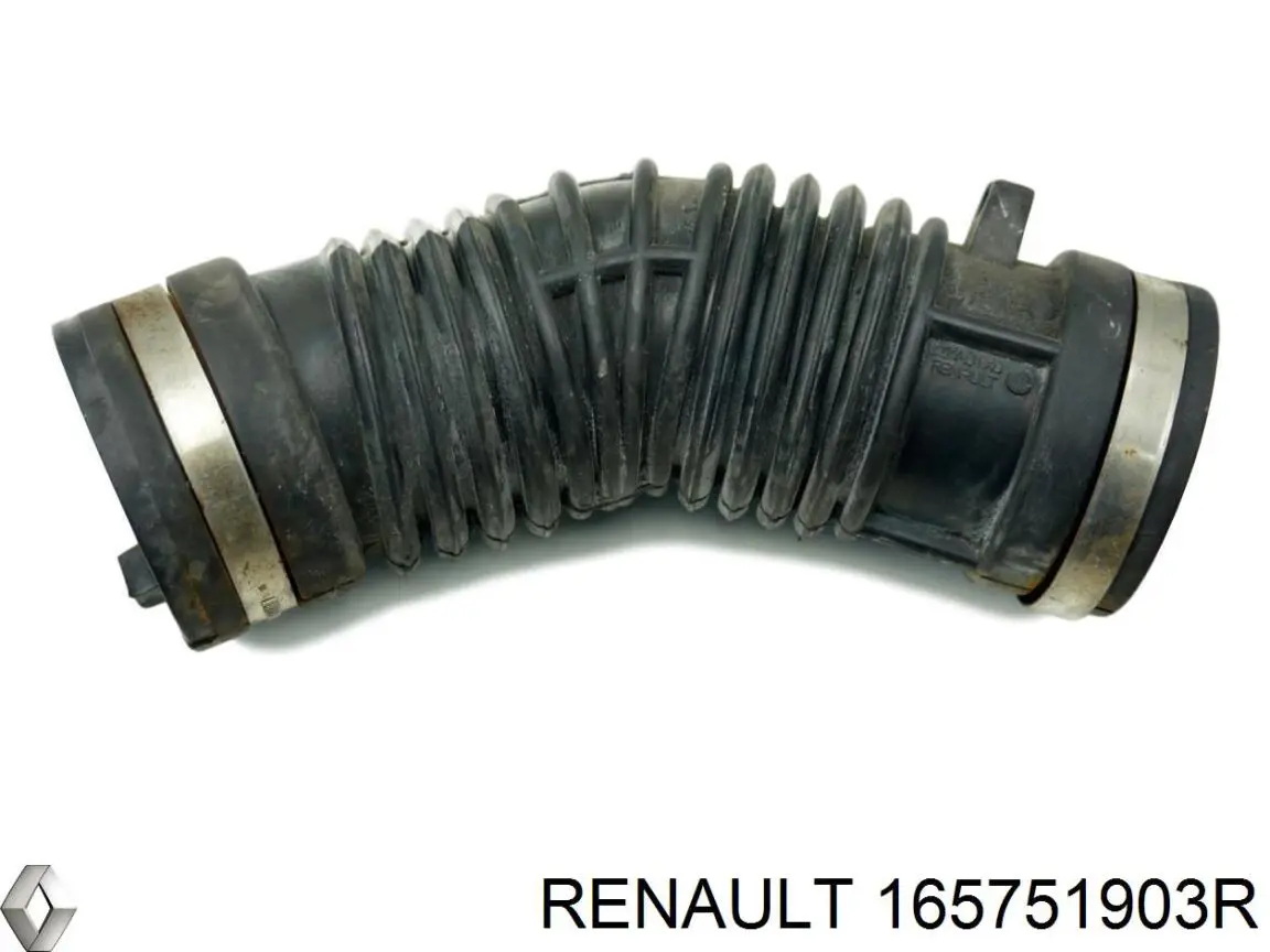 165751903R Renault (RVI) 