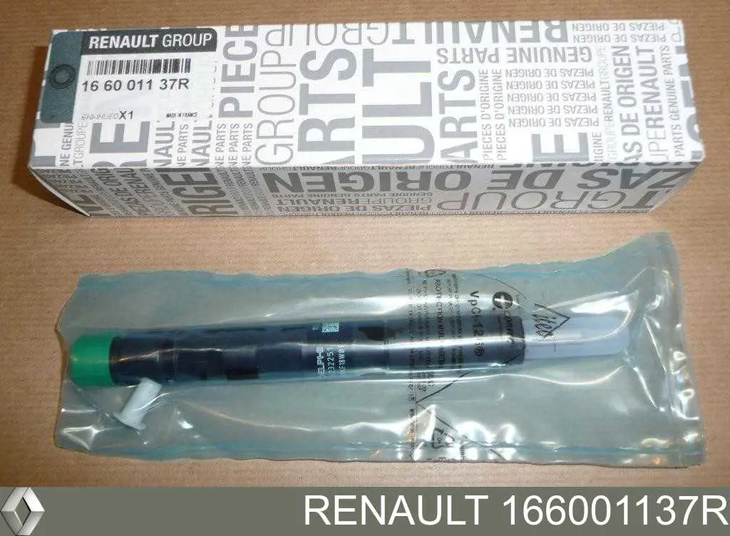 166001137R Renault (RVI) injetor de injeção de combustível