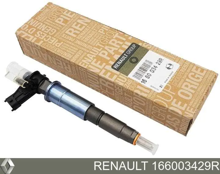 166003429R Renault (RVI) форсунки