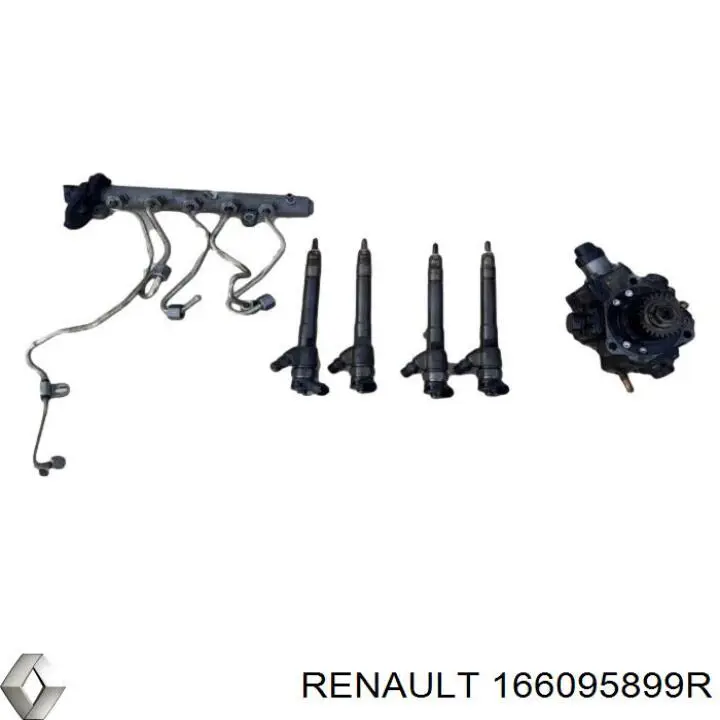 166095899R Renault (RVI) Топливные форсунки