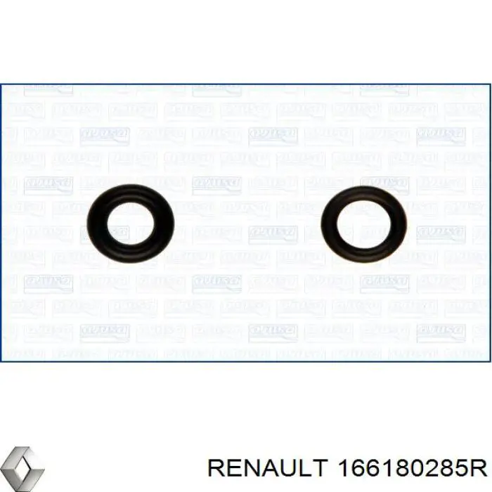 166180285R Renault (RVI)