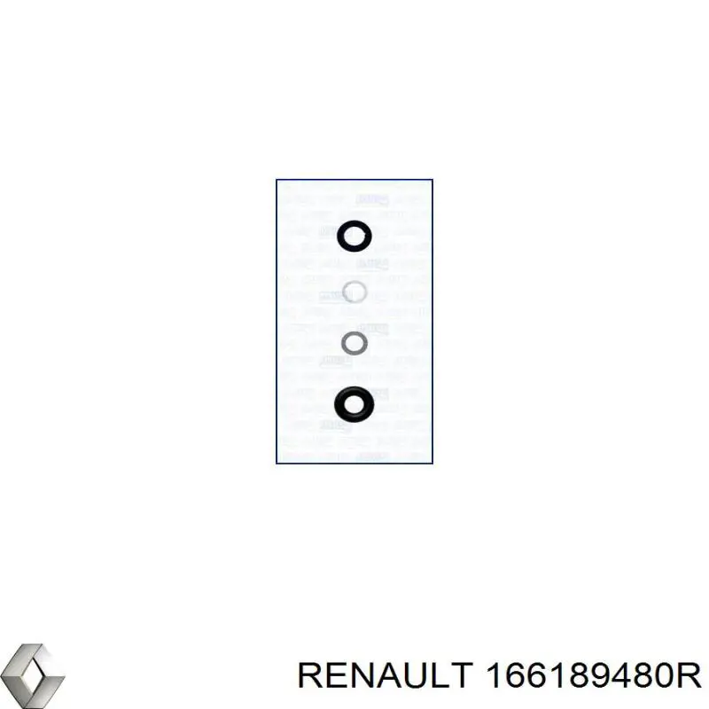Kit de reparação do injetor Renault Kangoo II FW0