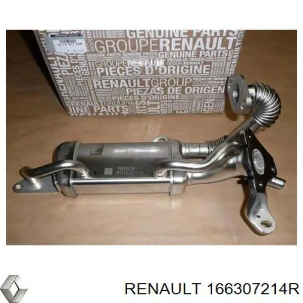 Насос топливный высокого давления Renault (RVI) 166307214R