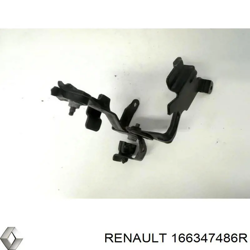  166347486R Renault (RVI)