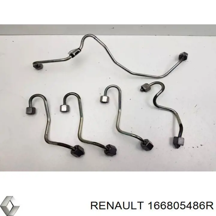  166805486R Renault (RVI)