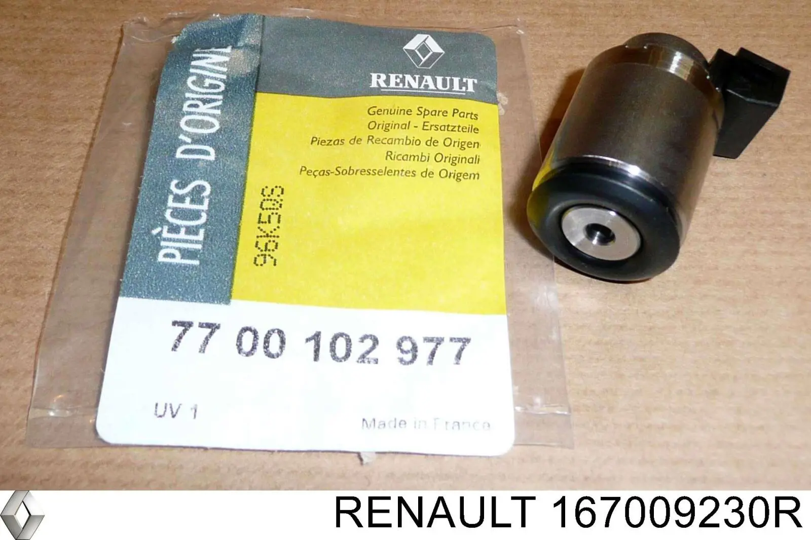  167009230R Renault (RVI)