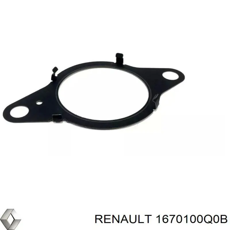 Прокладка ТНВД 1670100Q0B Renault (RVI)