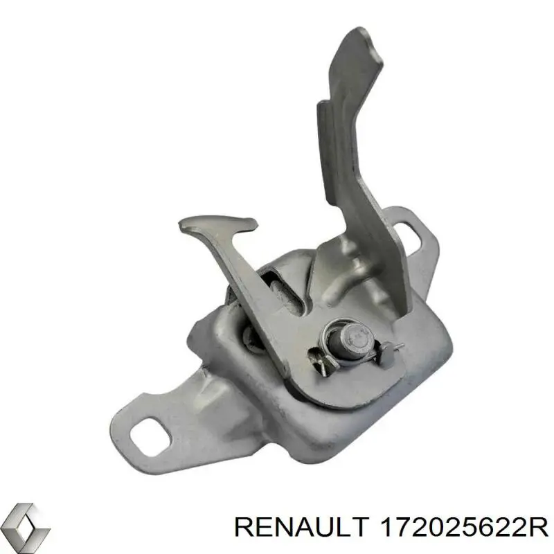 Бензонасос 172025622R Renault (RVI)