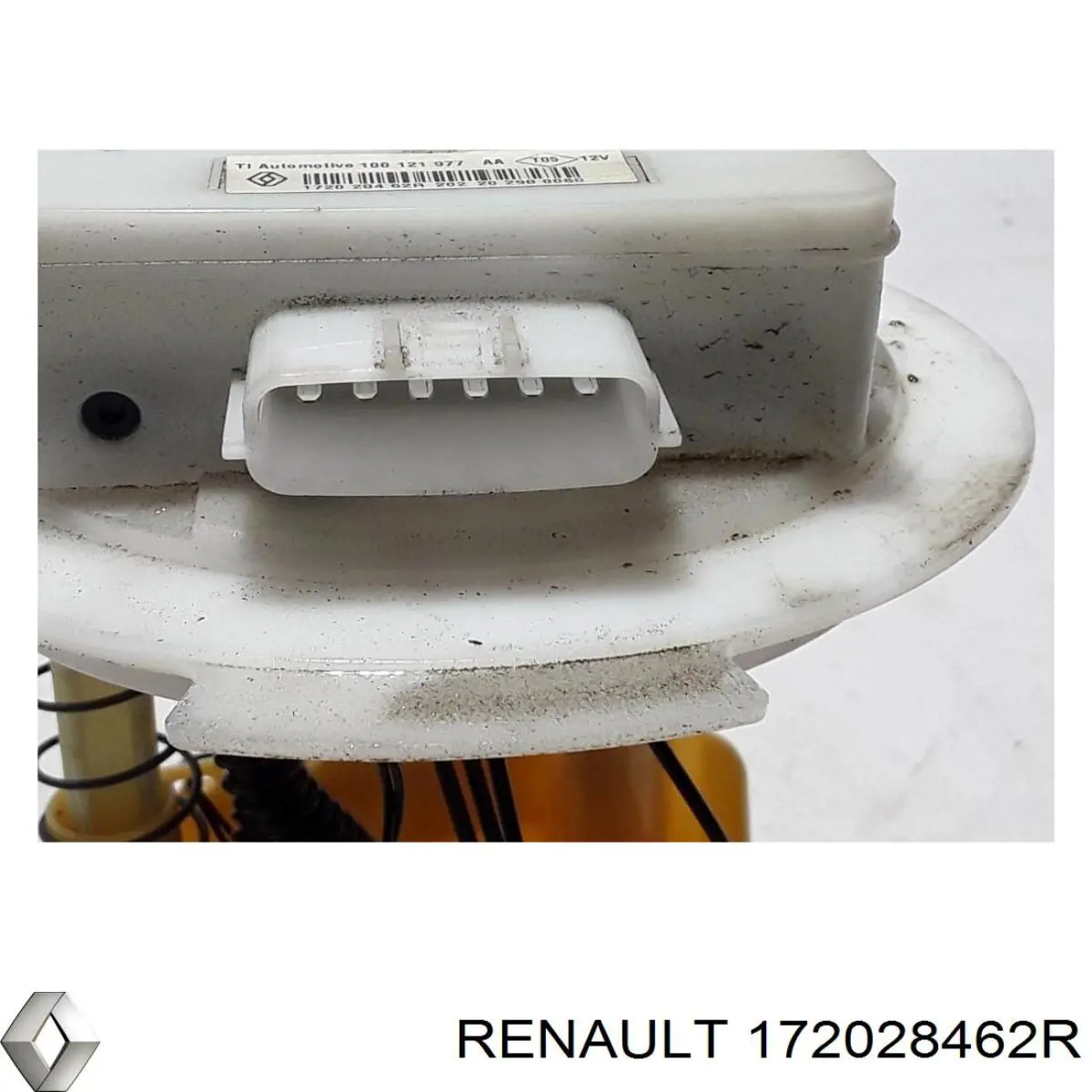 172028462R Renault (RVI) 