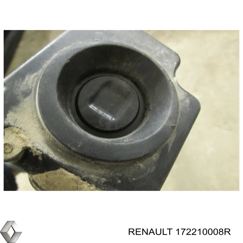Заливная горловина топливного бака Renault (RVI) 172210008R цена, от 10.14 USD
